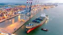 Viconship trả cổ tức và phát hành cổ phiếu thưởng