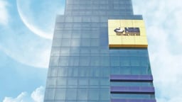 CII Invest đã mua thêm 1,83 triệu cổ phiếu NBB của Năm Bảy Bảy 