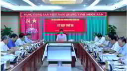 Đề nghị kỷ luật nguyên Chủ tịch Tập đoàn Cao su và nhiều lãnh đạo