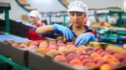 Doanh nghiệp toàn cầu mất hơn 34 tỷ USD vì đòn thuế