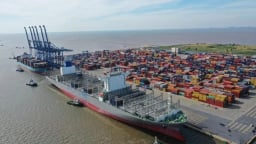 Cảng Sài Gòn muốn bán toàn bộ hơn 5,15 triệu cổ phiếu MSB
