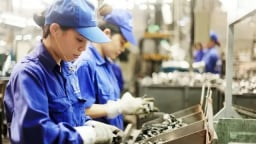 Các tình huống pháp lý về thuế liên quan đến doanh nghiệp nhỏ và vừa