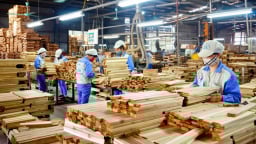 Gần 100 doanh nghiệp xuất khẩu gỗ dán cứng sang Hoa Kỳ bị điều tra kép