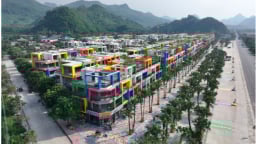 Flamingo Golden Hill đón chào hơn 500 chuyên gia quốc tế về sinh sống