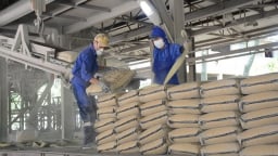 Bản tin Thuế và cuộc Sống số 132