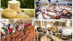 Xuất khẩu nông, lâm, thủy sản đi Mỹ tăng mạnh