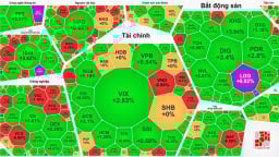 VN-Index tăng 5 điểm, thiết lập đỉnh cao mới