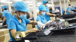 Hơn 80,8 nghìn doanh nghiệp ngừng hoạt động trong 6 tháng