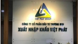 Công bố thông tin sai lệch, Công ty Xuất nhập khẩu Việt Pháp bị phạt