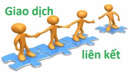 Trường hợp cá nhân có cổ phần tại 2 doanh nghiệp thì lãi vay có bị khống chế theo giao dịch liên kết không?