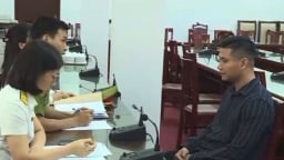 Che giấu doanh thu bán hàng trên mạng, Giám đốc Công ty TNHH MI Hà Nội bị khởi tố