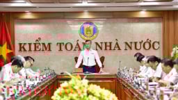 Kiểm toán chuyển vụ việc Công ty TNHH Thương mại dịch vụ Tuệ Cát sang cơ quan điều tra