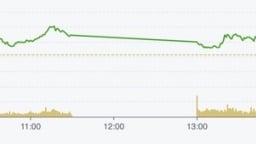 VN-Index 'đổ đèo' giảm gần 10 điểm, ngắt chuỗi tăng mạnh