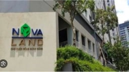 NovaLand bị phạt do không công bố thông tin