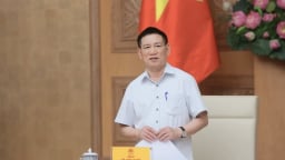Phó thủ tướng: Xử nghiêm hành vi sở hữu chéo, cấp tín dụng không đúng quy định pháp luật