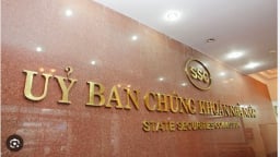 Không công bố thông tin, Công ty Phát triển Khu Công nghiệp EIP bị phạt