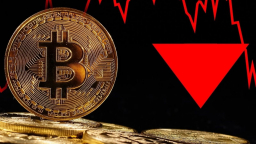 Bitcoin bất ngờ lao dốc sau khi phá đỉnh lịch sử