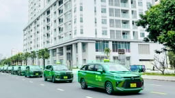 Công ty con của Tập đoàn Mai Linh nợ thuế