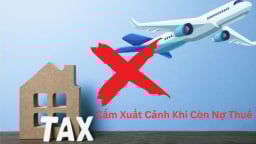 Nhiều giám đốc ở Thanh Hóa bị tạm hoãn xuất cảnh do nợ thuế