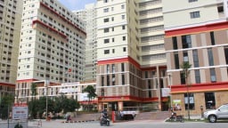 Nợ thuế gần 600 tỷ đồng, Công ty Cổ phần Đức Khải bị dừng làm thủ tục hải quan