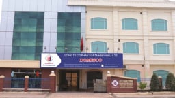 Domesco ước tính chi khoảng 87 tỷ đồng trả cổ tức năm 2024