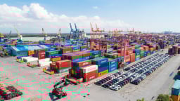 Cảng Đình Vũ sắp trả cổ tức đợt cuối năm 2024, tỷ lệ 10%
