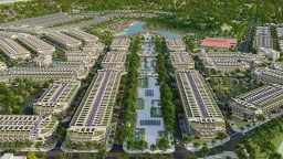 Licogi Quảng Ngãi, Pearl City và hàng loạt doanh nghiệp nợ thuế lớn