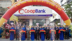 Co-opBank Hà Nam còn một số tồn tại trong thẩm định, xét duyệt cho vay