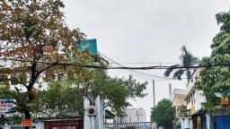 Công ty Cổ phần Bia Sài Gòn - Nghệ Tĩnh bị phạt 20 triệu đồng