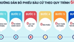 Hướng dẫn quy trình bầu cử bằng 6 bước