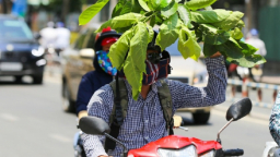 Miền Bắc nắng nóng, có nơi trên 38 độ