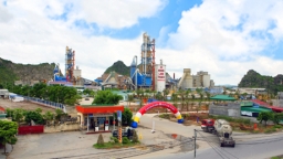 Quảng Ninh: Công ty Cổ phần xi măng và xây dựng Quảng Ninh nợ thuế hơn 116 tỷ đồng