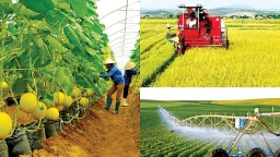 Ngành nông nghiệp muốn thu về hơn 45 tỷ USD từ xuất khẩu trong năm 2022