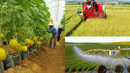 Việt Nam - Lào hợp tác phát triển nông lâm nghiệp