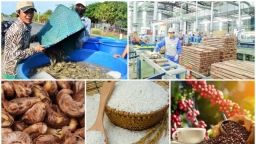 Việt Nam xuất khẩu nông sản đạt hơn 48 tỷ USD, cao nhất từ trước đến nay