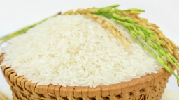 Gạo thơm được miễn thuế nhập khẩu khi xuất sang EU