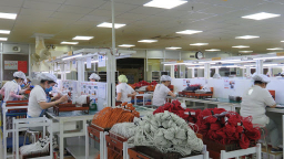 Long An thu ngân sách đạt hơn 12 nghìn tỷ đồng