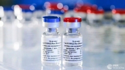 Việt Nam đàm phán mua vắc-xin Covid-19 với 4 nước