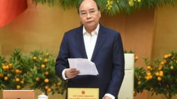 Thủ tướng: Sớm đưa vắc-xin Covid-19 đến người dân trong quý 1/2021