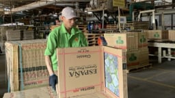 Gạch men Hoàng Gia tiếp tục nợ gần 29 tỷ đồng tiền thuế