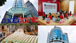 Hoàn thành IPO Agribank, VNPT, MobiFone trong năm 2021