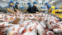 Mỹ không áp mức thuế chống bán phá giá với cá tra, cá basa của Công ty Vĩnh Hoàn và Nam Việt