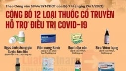 Chuyên gia Ngô Trí Long: 'Lợi dụng tăng giá thuốc cổ truyền điều trị Covid-19 là tội ác'