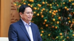 Thủ tướng “thúc” Bộ Công an mở rộng điều tra tích cực vụ Việt Á