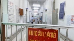 Việt Nam công bố ca thứ 45 nhiễm nCoV tại Tp.HCM