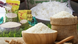 Việt Nam đứng thứ 6 thế giới về khả năng tự cung lương thực