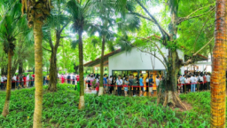 Khách xếp hàng cả cây số để xem nhà mẫu và mua nhà tại Ecopark