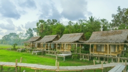 Phát hiện 21 mô hình farmstay sai phạm về đất đai