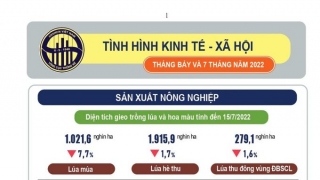 Tình hình kinh tế xã hội tháng 7 và 7 tháng năm 2022