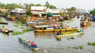 Du lịch mùa nước nổi vùng Đồng bằng sông Cửu long